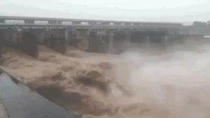 Haryana में Yamuna का कहर: लगातार बढ़ रहा Water Level, 5 Districts में Alert; Delhi तक खतरे का अंदेशा