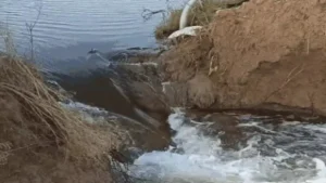 Haryana में बारिश और बाढ़ से हाहाकार: Ghaggar Drain में 50 Foot दरार, 5754 गांव जलमग्न, लाखों किसान परेशान