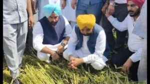 “अपना CM – अपने खेता विच”: किसानों के खेतों तक पहुंचकर CM Bhagwant Mann ने बदली Punjab की तस्वीर