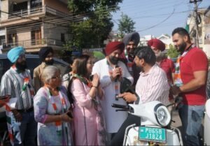 मोहाली जिले में निकाय चुनाव के 1,175 नामांकन पत्रों में से 1,061 वैध पाए गए