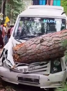 कुल्लू में वाहन पर पेड़ गिरने से बाल-बाल बचे पर्यटक