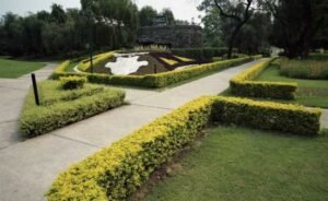 चंडीगढ़ पायलट प्रोजेक्ट: एलिवेटेड स्काई-गार्डन पाथवे के लिए विचार किए जा रहे 3 पार्कों की जाँच करें