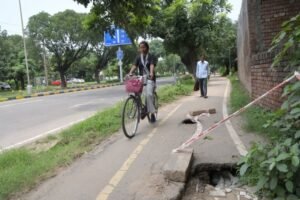 चंडीगढ़ के सेक्टर 17 में साइकिल ट्रैक के काम के लिए पेड़ों को काटने को लेकर विवाद