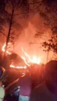 नगरोटा मंदिर के पास जंगल में लगी भीषण आग, फंसे 350 श्रद्धालुओं को बचाया गया