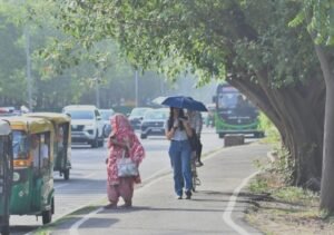 पंजाब, हरियाणा में भीषणता, बठिंडा में 46.2 डिग्री सेल्सियस, रोहतक में 44.5 डिग्री सेल्सियस दर्ज किया गया