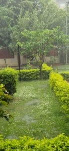 हिमाचल प्रदेश के पालमपुर क्षेत्र में ओलावृष्टि, बर्फबारी से जनजीवन अस्त-व्यस्त