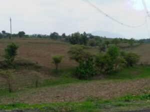 पंचकूला में 200 करोड़ रुपये का भूमि विवाद: आयुक्त ने मालिकाना हक के हिस्से की नए सिरे से समीक्षा का आदेश दिया