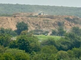 विशेषज्ञों ने सुप्रीम कोर्ट द्वारा नियुक्त अरावली समिति की निष्पक्षता पर उठाए सवाल, सीजेआई को लिखा पत्र