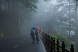 हिमाचल प्रदेश में भारी बारिश का दौर जारी रहेगा। सभी 12 जिलों के लिए येलो अलर्ट जारी