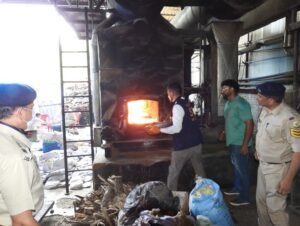 ‘चित्त विरोधी दिवस’ के मौके पर मंडी पुलिस ने किया नशीले पदार्थों को नष्ट