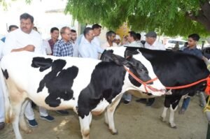 आईसीएआर-एनडीआरआई के एआई-आधारित प्रजनन मॉडल ने सफलता हासिल की, पशुधन की दूध की उपज में वृद्धि की