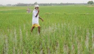 किसान मजदूर मोर्चा ने पंजाब में ‘बिजली संकट’ को लेकर ‘चक्का जाम’ की चेतावनी दी