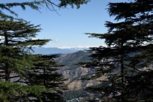 हिमाचल प्रदेश में प्री-मॉनसून सीजन में 13 फीसदी कम बारिश बिलासपुर सबसे नम जिला के रूप में उभरा है