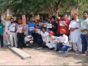 फरीदकोट में 784 पेड़ों पर काटे जाने के प्रस्ताव पर मचा विवाद, स्थानीय लोगों ने विधायक के खिलाफ जताया गुस्सा