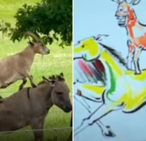अनिल कपूर की ‘वेलकम’ पेंटिंग का रियल लाइफ वर्जन