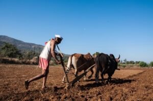 महाराष्ट्र सरकार कृषि बिजली के बकाये को माफ करेगी 48,000 करोड़ रुपये : फडणवीस