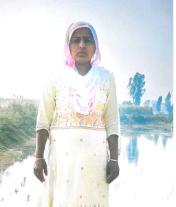 रसोई से लेकर मछली तालाब तक, रोहतक महिला ने मछली पालन को 20 लाख रुपये के व्यवसाय में बदल दिया