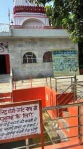 पंजाब के कटरुचक गांव में रातों-रात बना ‘जंगल’