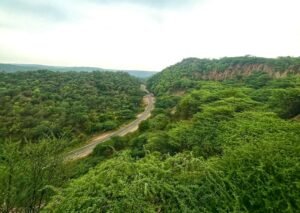 ग्रामीण और आदिवासियों की आवाजों को बाहर करने के लिए एससी अरावली पैनल के ऑनलाइन परामर्श की कार्यकर्ताओं ने आलोचना की