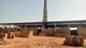 हरियाणा ने ईंट भट्टों के लिए ई-पोर्टल लॉन्च किया, धान की पराली के पेलेट के उपयोग की निगरानी के लिए पंजीकरण अनिवार्य किया