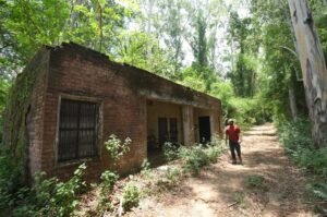 मोहाली के सरकारी पशु चिकित्सक अस्पतालों को जीवन रक्षक की जरूरत