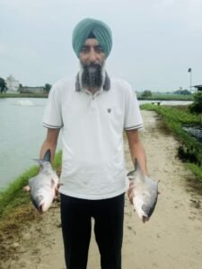 एकीकृत सुअर, मछली पालन से कपूरथला के किसान समृद्ध लाभांश प्राप्त करते हैं