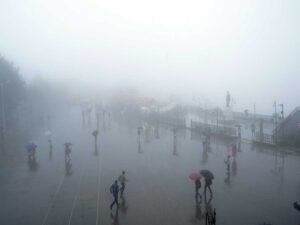 मॉनसून में पुनरुद्धार, आने वाले हफ्तों में बेहतर वितरण से खाद्य मुद्रास्फीति के जोखिम को कम करने में मदद मिल सकती है: बैंक ऑफ बड़ौदा
