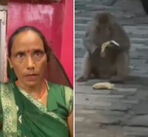अयोध्या में बंदर ने 42,105 रुपये की चोरी की, पुलिस ने वसूली के लिए ‘केले की ट्रिक’ का इस्तेमाल किया