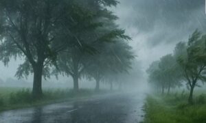 UP Weather: 23 अगस्त को बारिश का महाअलर्ट, इन जिलों में में जमकर बरसेंगे बादल
