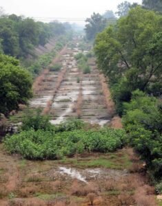हरियाणा कांग्रेस के सांसदों ने केंद्र के समक्ष उठाया एसवाईएल नहर का मुद्दा