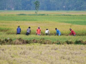 मौसम विभाग ने सितंबर में सामान्य से कम बारिश का अनुमान जताया