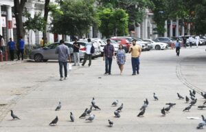 दिल्ली: कनॉट प्लेस को अपने अच्छे पुराने दिनों का स्वाद मिलता है