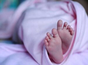 हिमाचल के चंबा गांव में मिले नवजात के कटे हुए अंग जांच जारी है