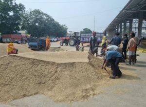 करनाल में धान मिलों की कमी से धान खरीद प्रभावित