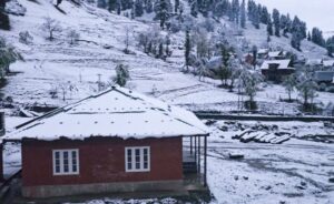 रात भर हुई बर्फबारी के बाद कश्मीर के ऊंचे इलाकों में सफेद रंग का रंग