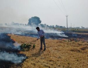 फिरोजपुर से प्रबंधन को बढ़ावा मिलने से पराली जलाने के मामलों में कमी