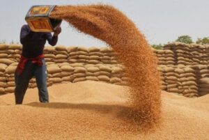 सरकार ने पंजाब में 50 करोड़ रुपये की गेहूं बीज सब्सिडी योजना की घोषणा की
