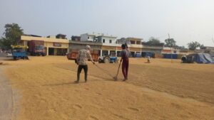 धान खरीदी की संशोधित सीमा का लाभ लेने के लिए किसान दर-दर भटक क्यों रहे हैं?