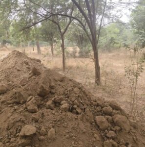 संगरूर में स्टेडियम के लिए मार्ग प्रशस्त करने के लिए मोर आवास को साफ करने के कदम का कार्यकर्ताओं ने किया विरोध